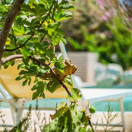 Torre Sabea Camping Gallipoli