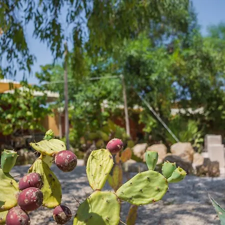 Torre Sabea 캠프장