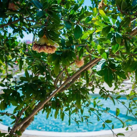 캠프장 Torre Sabea 3*