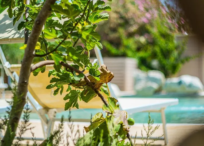 Torre Sabea Camping Gallipoli